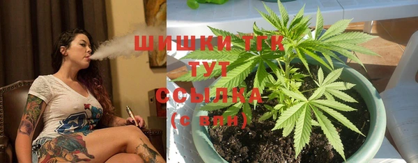 стаф Балахна
