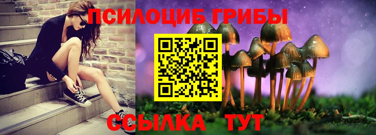 Барабинск  Псилоцибиновые грибы Cubensis  Галлюциногенные грибы Magic Shrooms  Вход с VPN 