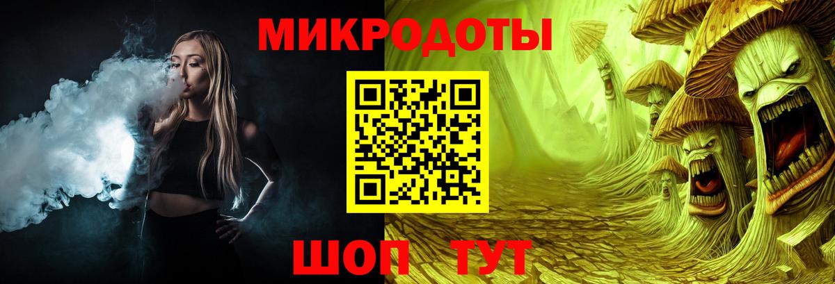 Псилоцибиновые грибы Psilocybine cubensis Барабинск